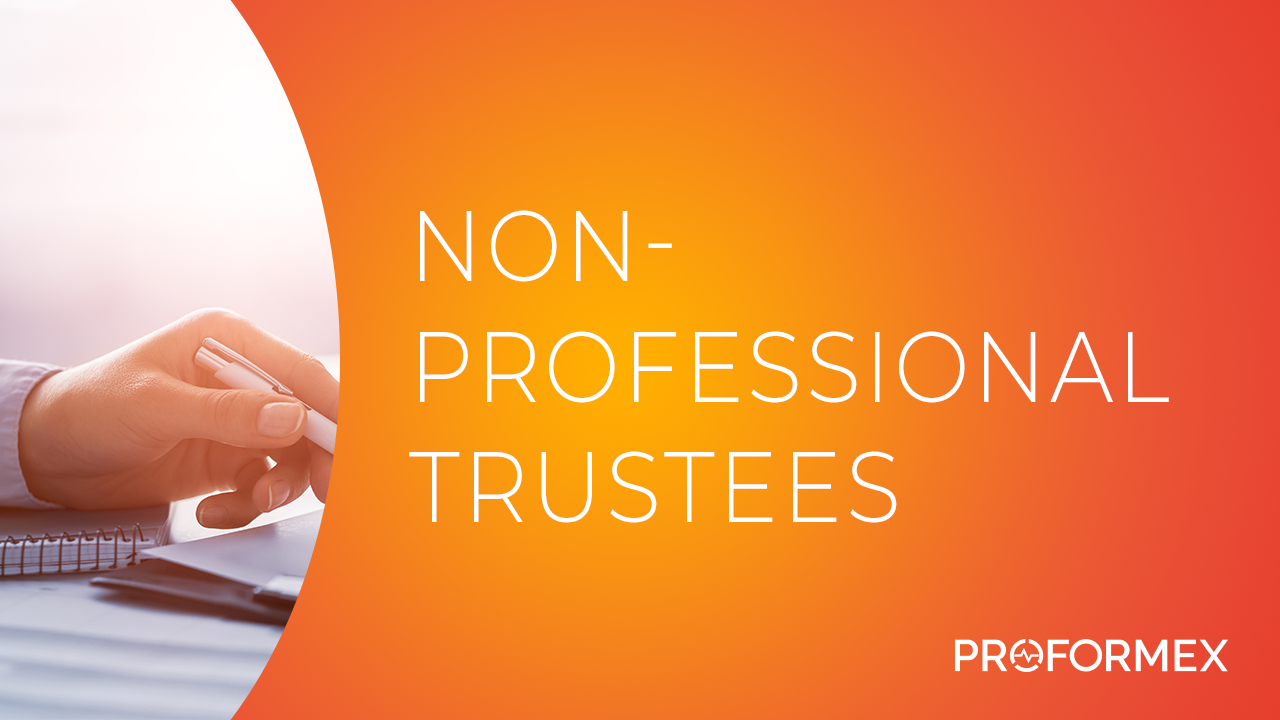 non-professional-trustees